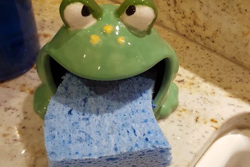 frog sponge